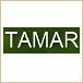 Tamar International